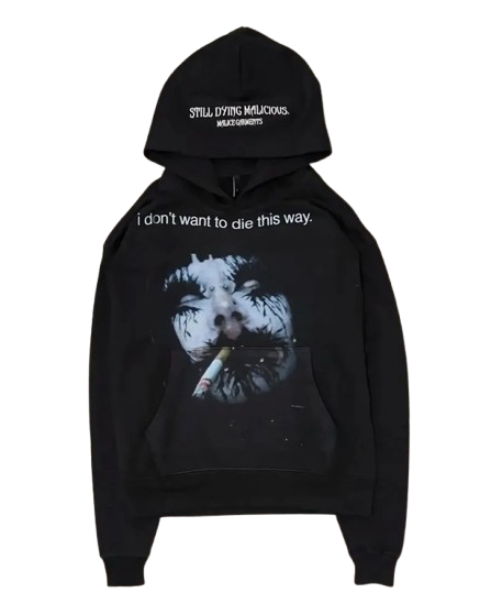 SWEAT À CAPUCHE « DON'T WANT » 𖦏